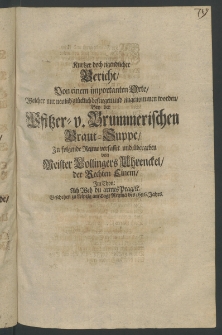 Kurtzer doch eigendlicher Bericht, von einem importantem Orte, welcher nur neulich gl&uuml;cklich bestiegen und eingenommen worden, bey der Pfitzer- und Brummerischen Braut-Suppe [...]