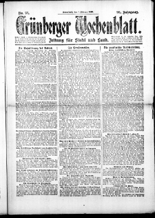 Grünberger Wochenblatt: Zeitung für Stadt und Land, No.27. ( 1. Februar 1919 )