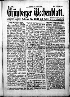 Grünberger Wochenblatt: Zeitung für Stadt und Land, No.161. ( 12. Juli 1919 )
