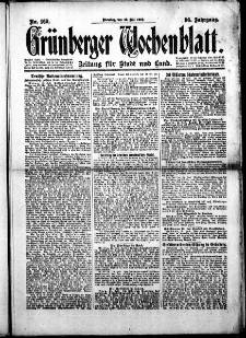 Grünberger Wochenblatt: Zeitung für Stadt und Land, No.169. ( 22. Juli 1919 )