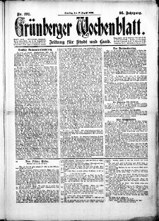 Grünberger Wochenblatt: Zeitung für Stadt und Land, No.192. ( 17. August 1919 )
