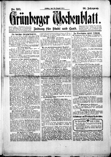 Grünberger Wochenblatt: Zeitung für Stadt und Land, No.202. ( 29. August 1919 )