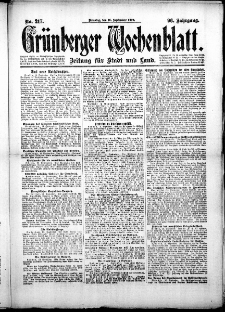 Grünberger Wochenblatt: Zeitung für Stadt und Land, No.217. ( 16. September 1919 )