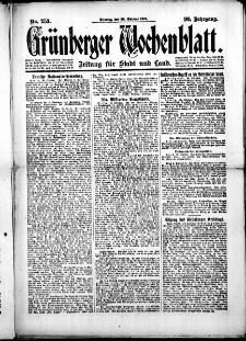 Grünberger Wochenblatt: Zeitung für Stadt und Land, No.253. ( 28. Oktober 1919 )