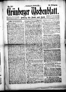 Grünberger Wochenblatt: Zeitung für Stadt und Land, No.257. ( 1. November 1919 )
