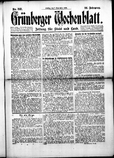Grünberger Wochenblatt: Zeitung für Stadt und Land, No.262. ( 7. November 1919 )