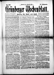 Grünberger Wochenblatt: Zeitung für Stadt und Land, No.263. ( 8. November 1919 )