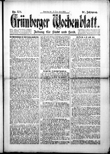 Grünberger Wochenblatt: Zeitung für Stadt und Land, No.270. ( 16. November 1919 )