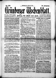 Grünberger Wochenblatt: Zeitung für Stadt und Land, No.293. ( 14. Dezember 1919 )
