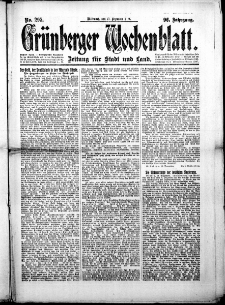 Grünberger Wochenblatt: Zeitung für Stadt und Land, No.295. ( 17. Dezember 1919 )