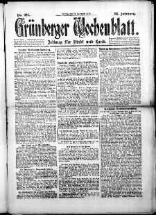 Grünberger Wochenblatt: Zeitung für Stadt und Land, No.297. ( 19. Dezember 1919 )
