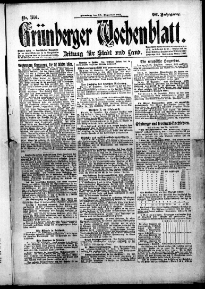 Grünberger Wochenblatt: Zeitung für Stadt und Land, No.304. ( 30. Dezember 1919 )