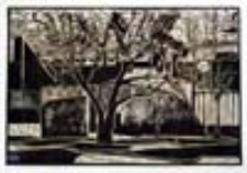 Zielona Góra (linoryt)