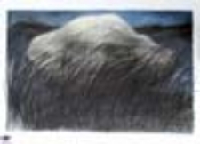 natura...góra...kultura (1)