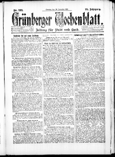 Grünberger Wochenblatt: Zeitung für Stadt und Land, No. 262. ( 20. November 1923 )