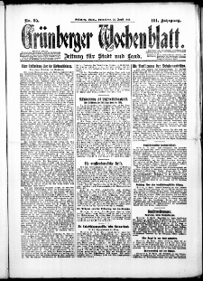 Gr&uuml;nberger Wochenblatt: Zeitung f&uuml;r Stadt und Land, No. 95. ( 24. April 1926 )