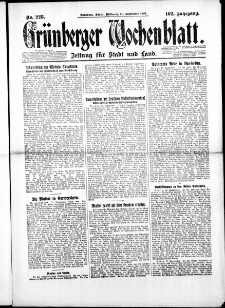 Gr&uuml;nberger Wochenblatt: Zeitung f&uuml;r Stadt und Land, No. 228. ( 29. September 1926 )