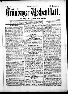 Grünberger Wochenblatt: Zeitung für Stadt und Land, No. 66. (3. Juni 1913)