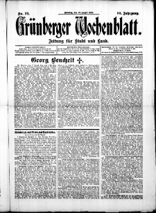 Grünberger Wochenblatt: Zeitung für Stadt und Land, No. 99. (19. August 1913)