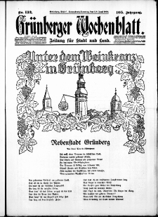 Grünberger Wochenblatt: Zeitung für Stadt und Land, No. 132. ( 7./ 8. Juni 1930 )