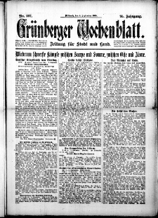 Grünberger Wochenblatt: Zeitung für Stadt und Land, No. 207. (4. September 1918)