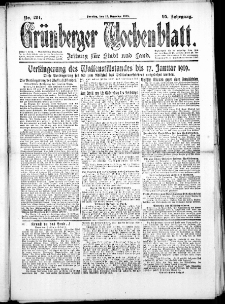 Grünberger Wochenblatt: Zeitung für Stadt und Land, No. 294. (15. Dezember 1918)