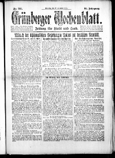 Grünberger Wochenblatt: Zeitung für Stadt und Land, No. 295. (17. Dezember 1918)