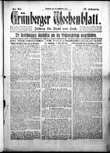 Grünberger Wochenblatt: Zeitung für Stadt und Land, No. 305. (31. Dezember 1918)