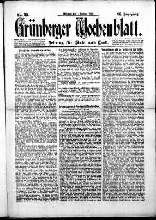 Grünberger Wochenblatt: Zeitung für Stadt und Land, No. 29. (4. Februar 1920)