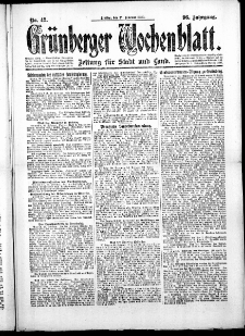 Grünberger Wochenblatt: Zeitung für Stadt und Land, No. 49. (27. Februar 1920)