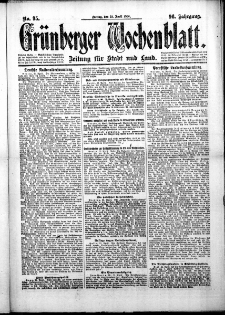 Grünberger Wochenblatt: Zeitung für Stadt und Land, No. 95. (23. April 1920)