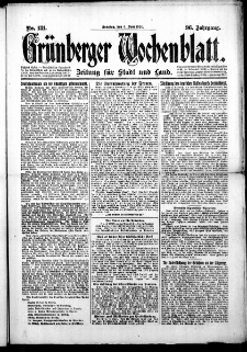 Grünberger Wochenblatt: Zeitung für Stadt und Land, No. 131. (6. Juni 1920)