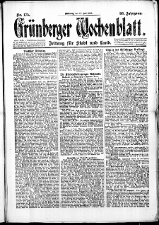 Grünberger Wochenblatt: Zeitung für Stadt und Land, No. 176. (29. Juli 1920)