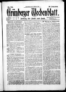 Grünberger Wochenblatt: Zeitung für Stadt und Land, No. 254. (28. Oktober 1920)