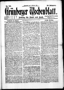 Grünberger Wochenblatt: Zeitung für Stadt und Land, No. 256. (30. Oktober 1920)