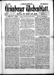 Grünberger Wochenblatt: Zeitung für Stadt und Land, No. 263. (7. November 1920)