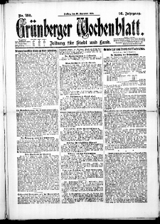 Grünberger Wochenblatt: Zeitung für Stadt und Land, No. 290. (10. Dezember 1920)