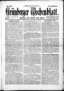 Grünberger Wochenblatt: Zeitung für Stadt und Land, No. 300. (22. Dezember 1920)