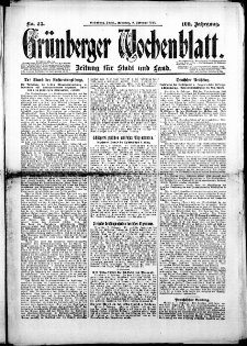 Grünberger Wochenblatt: Zeitung für Stadt und Land, Nr. 33. (8. Februar 1925)