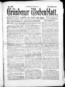 Grünberger Wochenblatt: Zeitung für Stadt und Land, No. 210. (14. Oktober 1924)