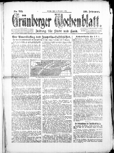 Grünberger Wochenblatt: Zeitung für Stadt und Land, No. 213. (17. Oktober 1924)