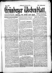 Grünberger Wochenblatt: Zeitung für Stadt und Land, No. 228. (4. November 1924)