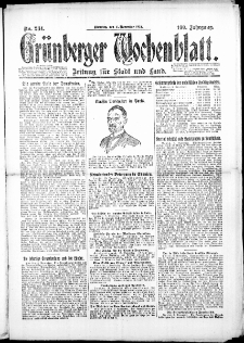 Grünberger Wochenblatt: Zeitung für Stadt und Land, No. 234. (11. November 1924)