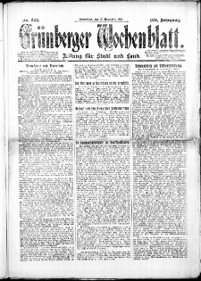 Grünberger Wochenblatt: Zeitung für Stadt und Land, No. 243. (22. November 1924)