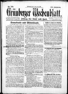 Grünberger Wochenblatt: Zeitung für Stadt und Land, No. 245. (25. November 1924)