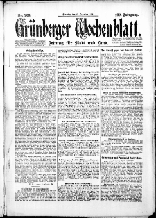 Grünberger Wochenblatt: Zeitung für Stadt und Land, No. 269. (23. Dezember 1924)