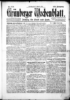 Grünberger Wochenblatt: Zeitung für Stadt und Land, No. 273. (30. Dezember 1924)