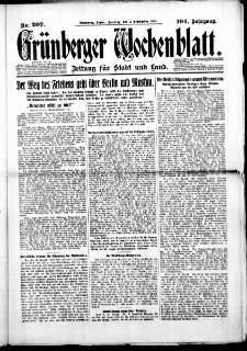 Grünberger Wochenblatt: Zeitung für Stadt und Land, No. 207. (2. September 1928)