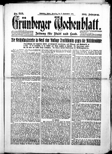 Grünberger Wochenblatt: Zeitung für Stadt und Land, No. 213. (9. September 1928)