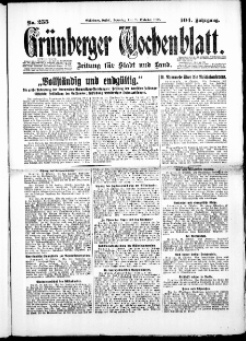 Grünberger Wochenblatt: Zeitung für Stadt und Land, No. 255. (28. Oktober 1928)
